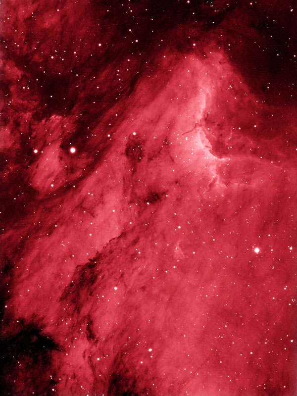 Pelican Nebula